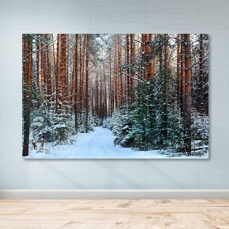 Slika za zid DEV03114100140, 100x140 cm