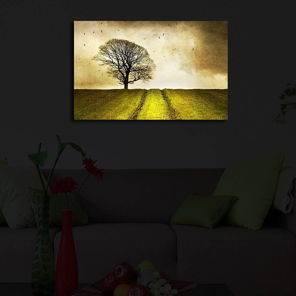 Zidna slika sa LED osvetljenjem 4570IACT-48, 45x70 cm