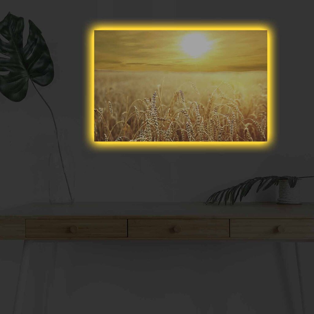 Zidna slika sa LED osvetljenjem 4570DHDACT-152, 45x70 cm