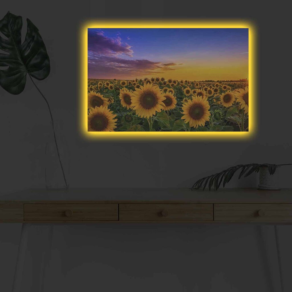 Zidna slika sa LED osvjetljenjem 4570DHDACT-002, 45x70 cm