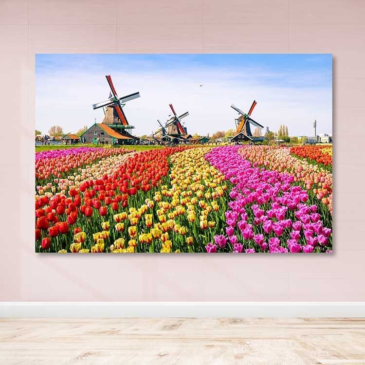 Slika na zidu DEV02943100140, 100x140 cm