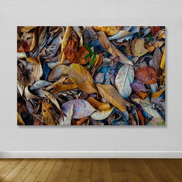 Slika Wallity DEV02479100140, 100x140 cm