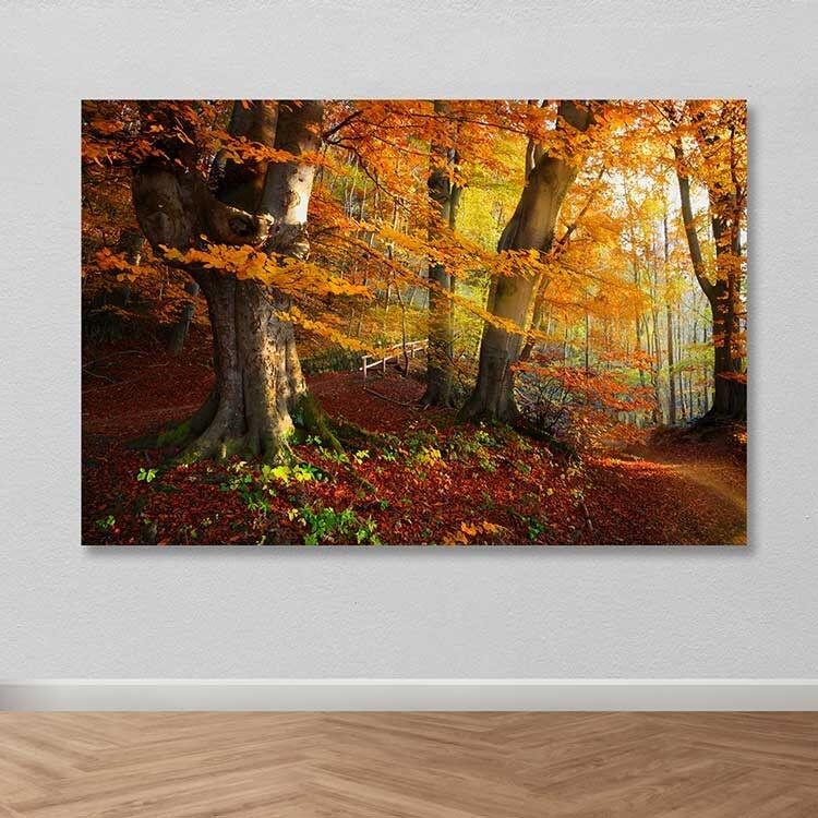 Slika na zidu DEV02124100140, 100x140 cm