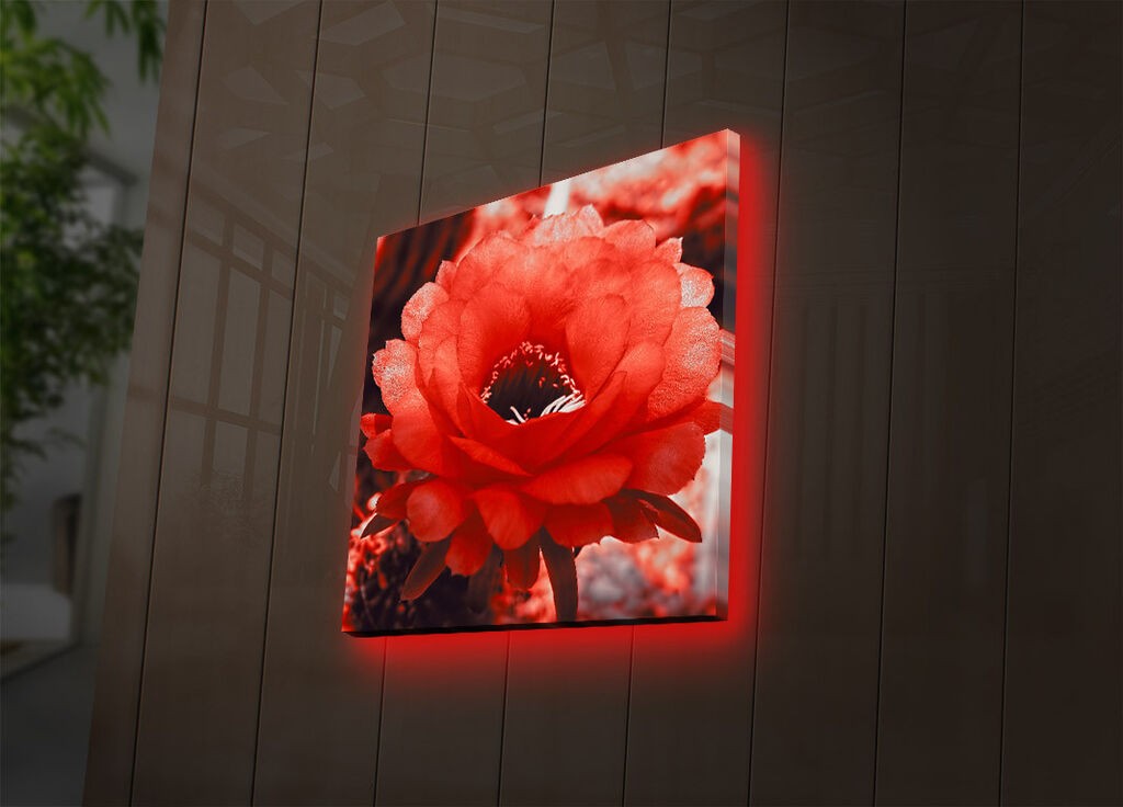 Zidna slika sa LED osvetljenjem 4040DACT-46, 40x40 cm