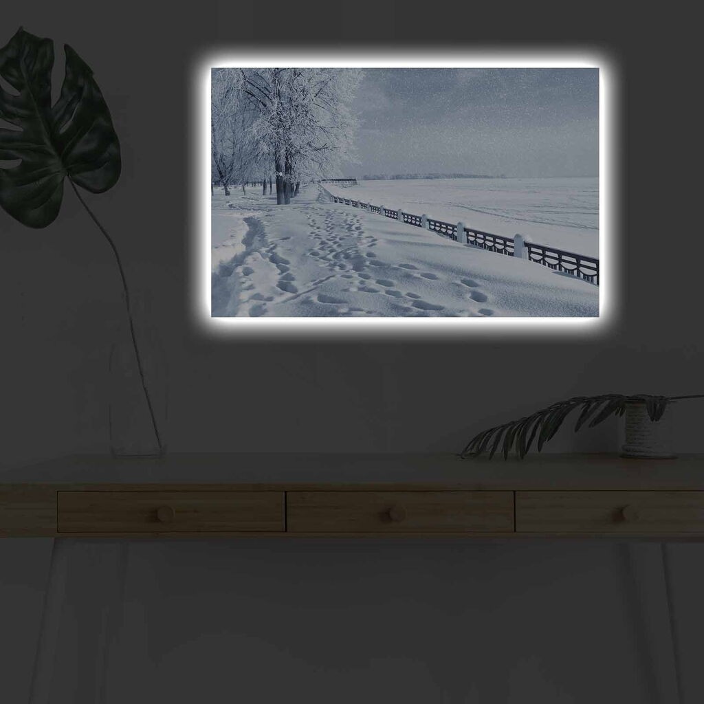 Zidna slika sa LED osvetljenjem 4570DHDACT-117, 45x70 cm