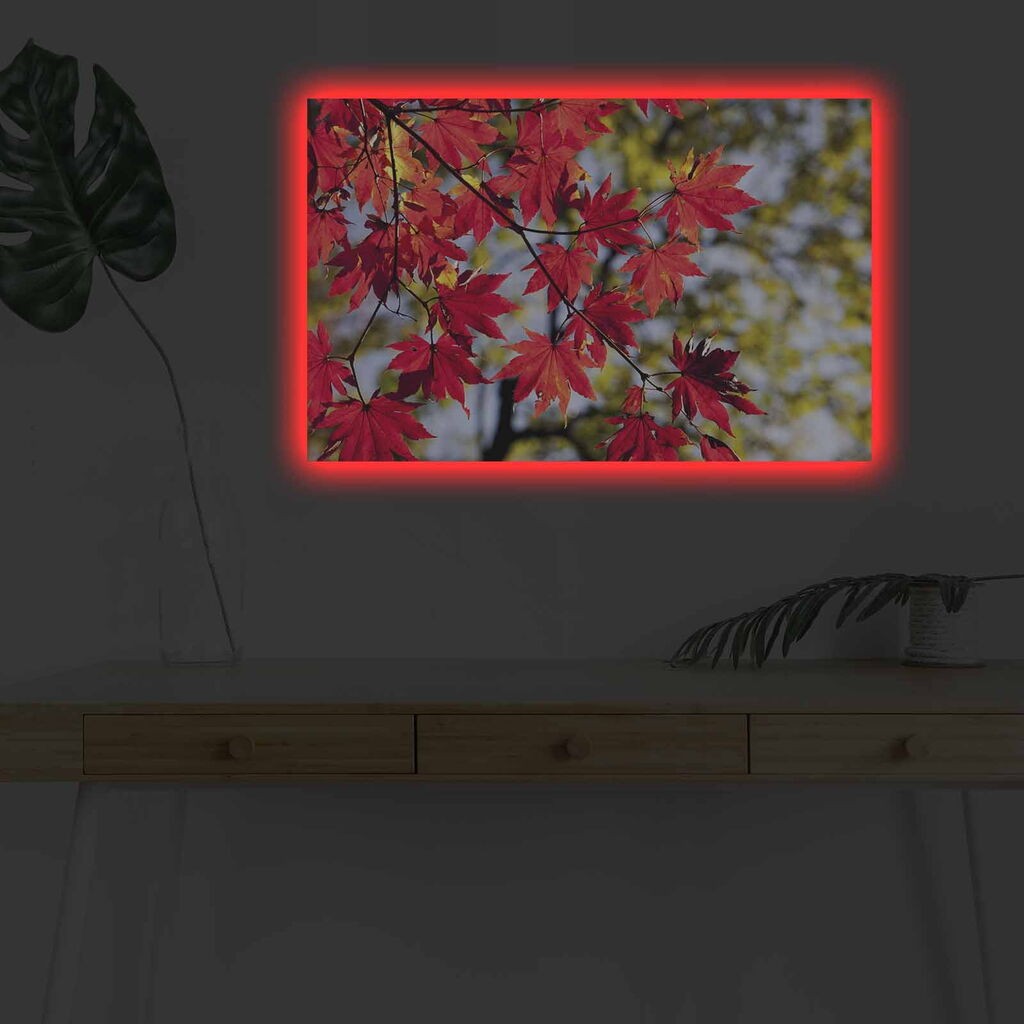Zidna slika sa LED osvetljenjem 4570DHDACT-064, 45x70 cm
