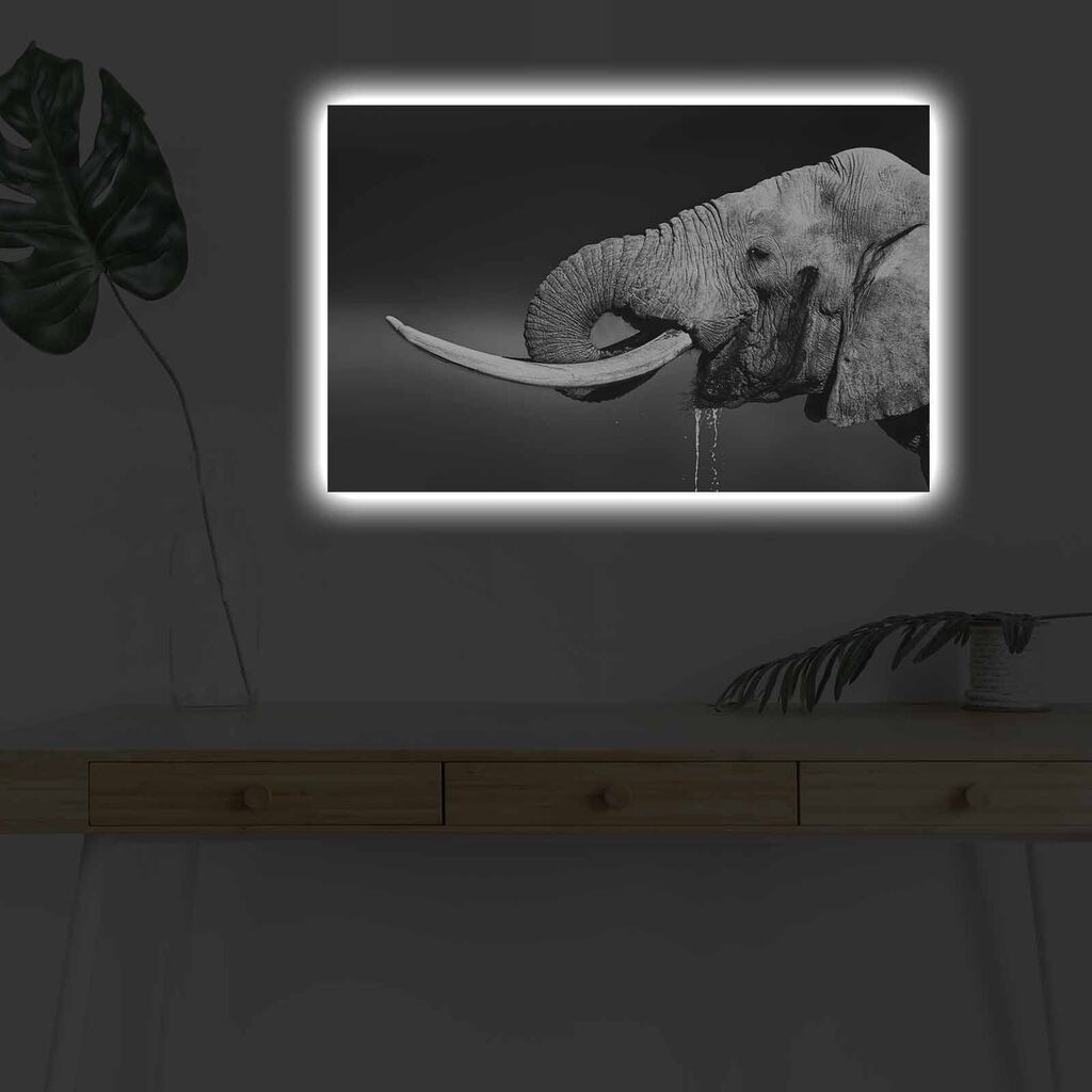 Zidna slika sa LED osvetljenjem 4570DHDACT-165, 45x70 cm
