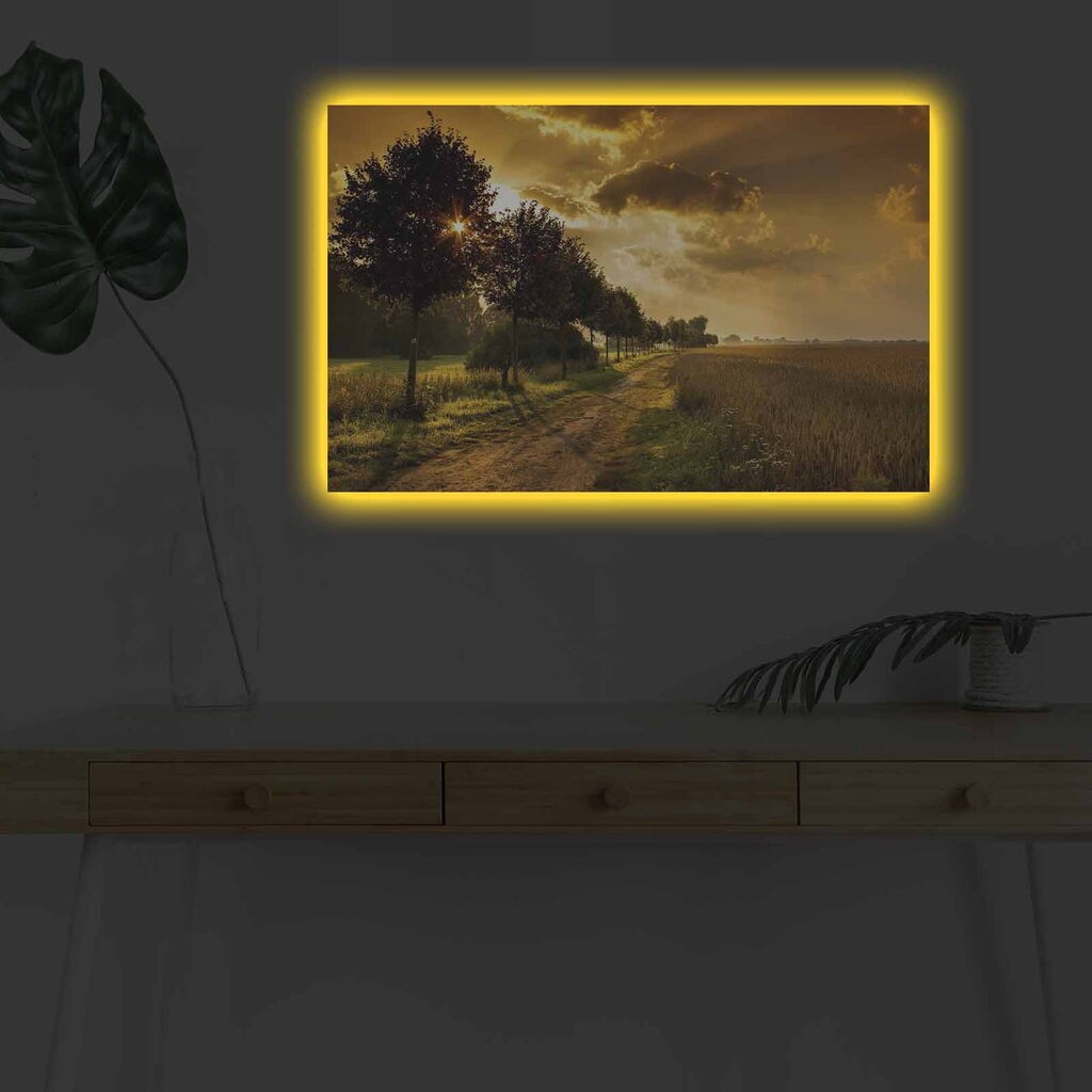 Zidna slika sa LED osvjetljenjem 4570DHDACT-006, 45x70 cm