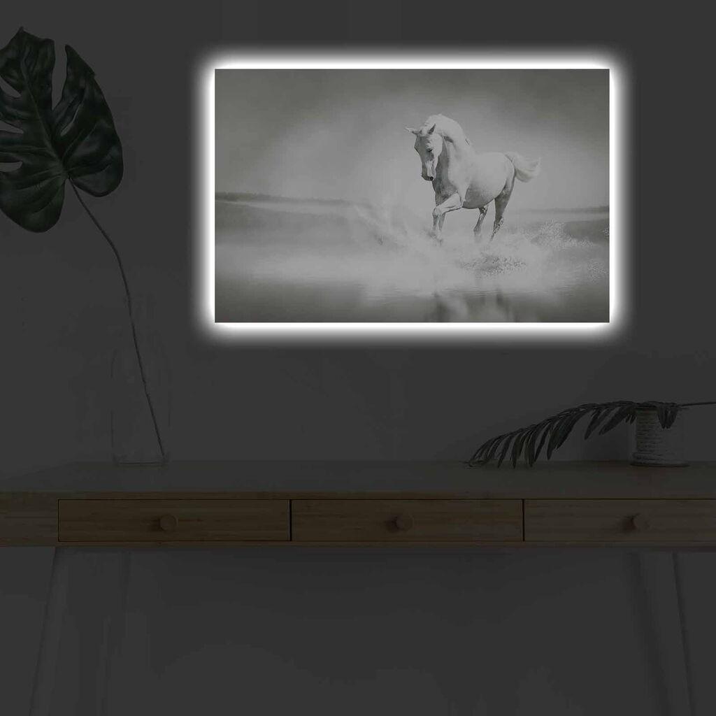 Zidna slika sa LED osvetljenjem 4570DHDACT-100, 45x70 cm