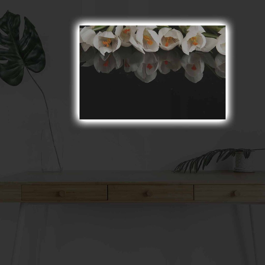 Zidna slika sa LED osvjetljenjem 4570DHDACT-079, 45x70 cm