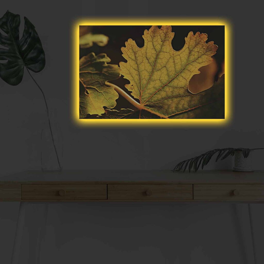 Zidna slika sa LED osvetljenjem 4570DHDACT-132, 45x70 cm