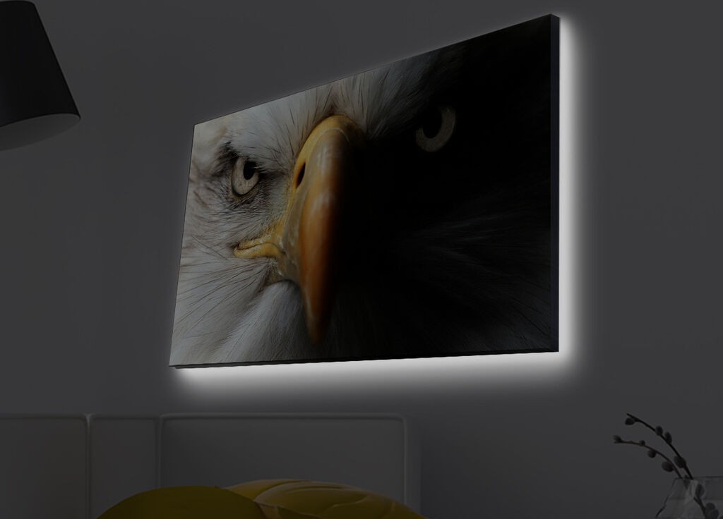 Zidna slika sa LED osvetljenjem 4570MDACT-025, 45x70 cm