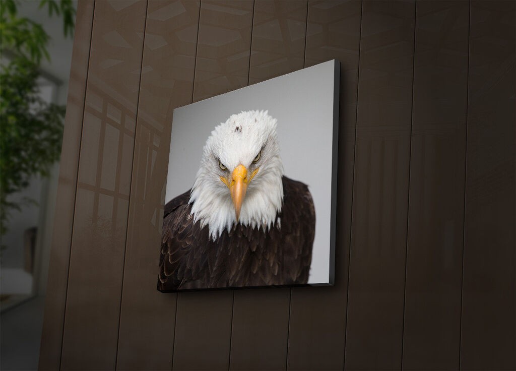 Zidna slika sa LED osvjetljenjem 4040IACT-41, 40x40 cm