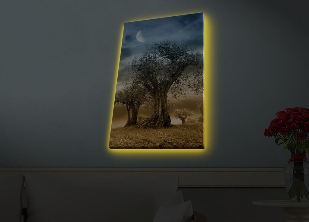 Zidna slika sa LED osvetljenjem 4570HDACT-076, 45x70 cm