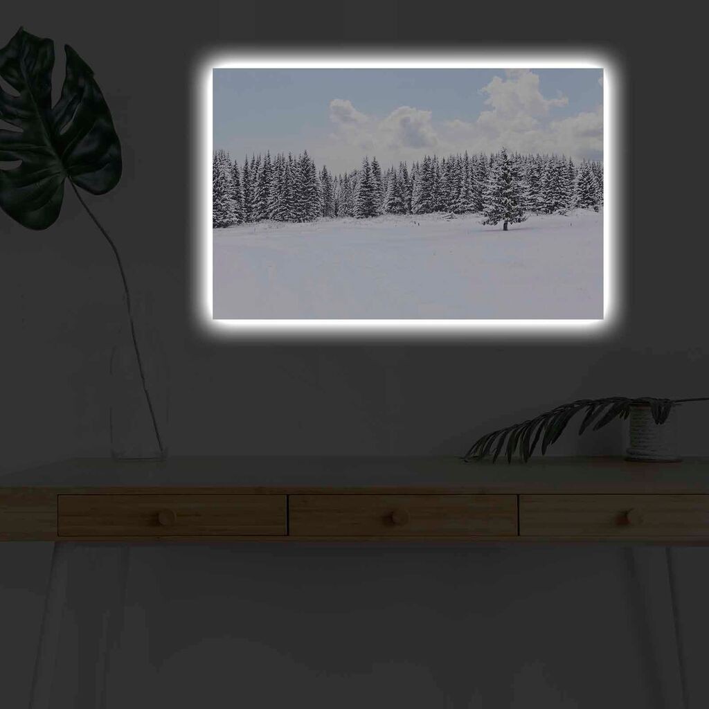 Zidna slika sa LED osvjetljenjem 4570KARDACT - 015, 45x70 cm