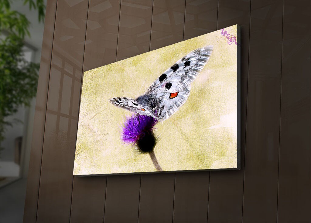 Zidna slika sa LED osvetljenjem 4570IACT-67, 45x70 cm