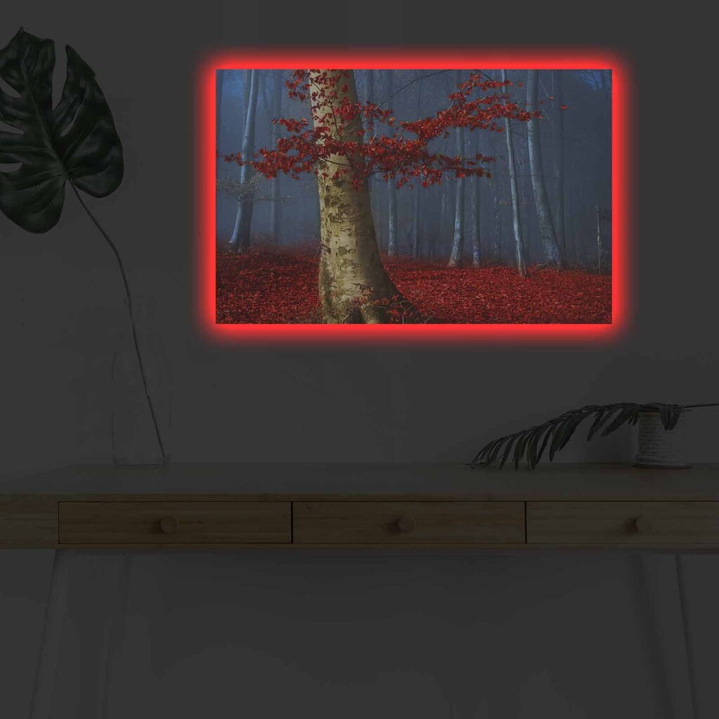 Zidna slika sa LED osvetljenjem 4570DHDACT-116, 45x70 cm