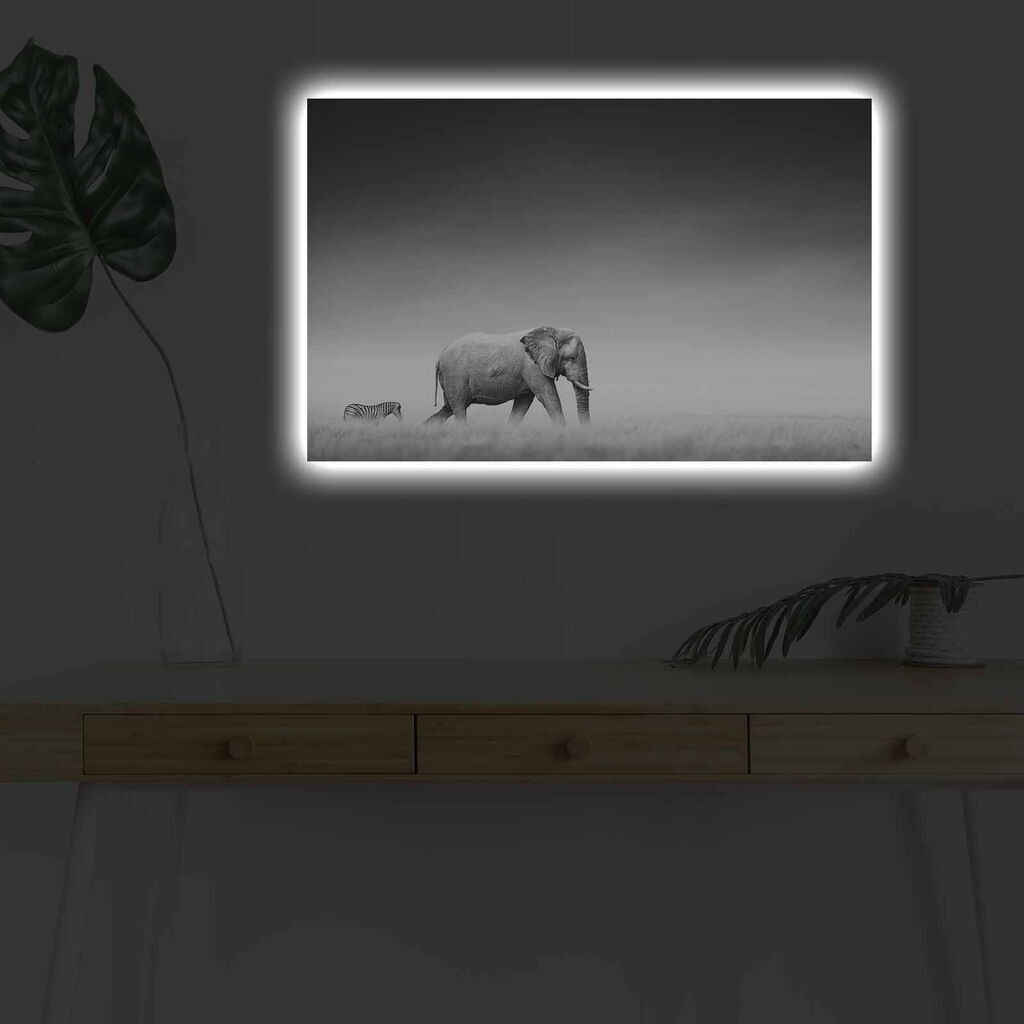 Zidna slika sa LED osvetljenjem 4570DHDACT-099, 45x70 cm