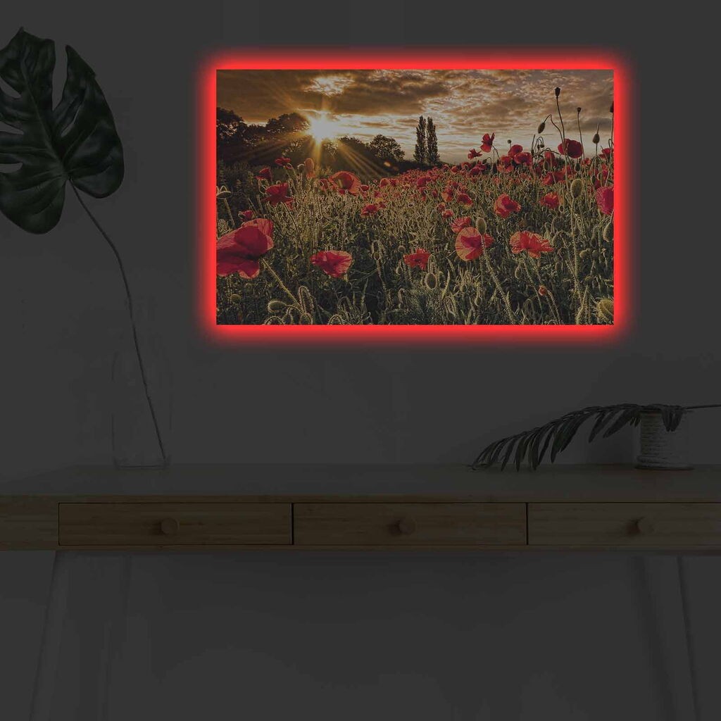 Zidna slika sa LED osvetljenjem 4570DHDACT-083, 45x70 cm