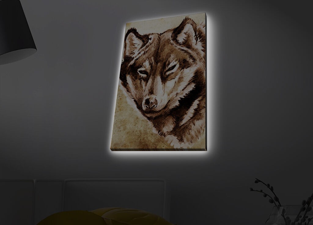 Zidna slika sa LED osvetljenjem 4570MDACT-047, 45x70 cm