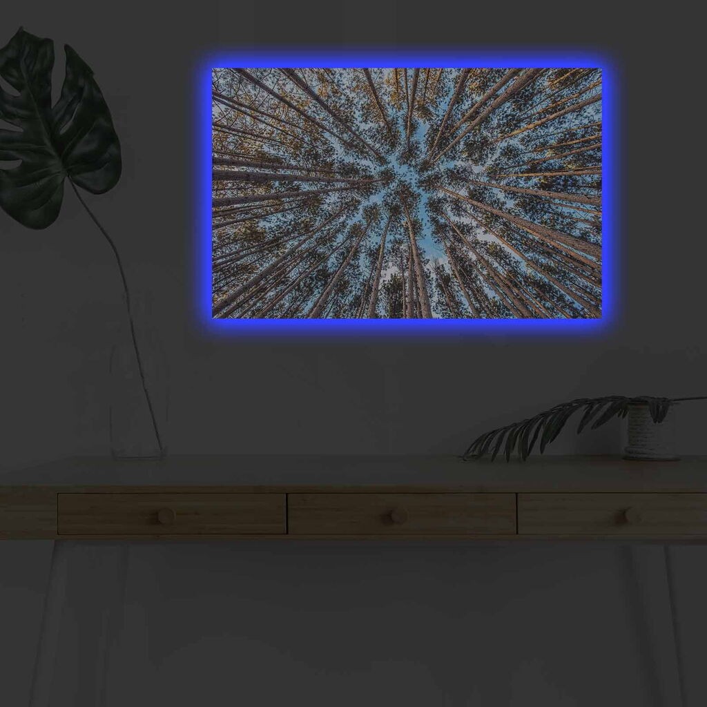 Zidna slika sa LED osvetljenjem 4570DHDACT-081, 45x70 cm