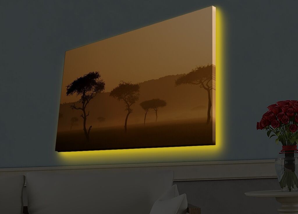 Zidna slika sa LED osvetljenjem 4570HDACT-004, 45x70 cm