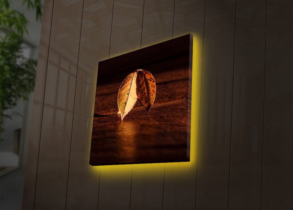 Zidna slika sa LED osvetljenjem 4040DACT-36, 40x40 cm