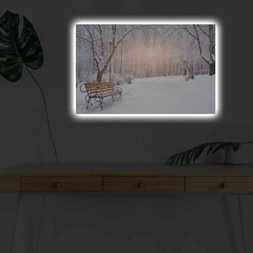 Zidna slika sa LED osvjetljenjem 4570KARDACT - 016, 45x70 cm