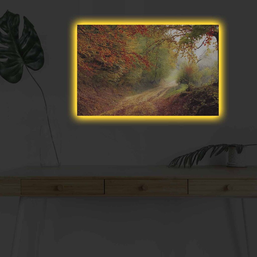 Zidna slika sa LED osvetljenjem 4570DHDACT-138, 45x70 cm