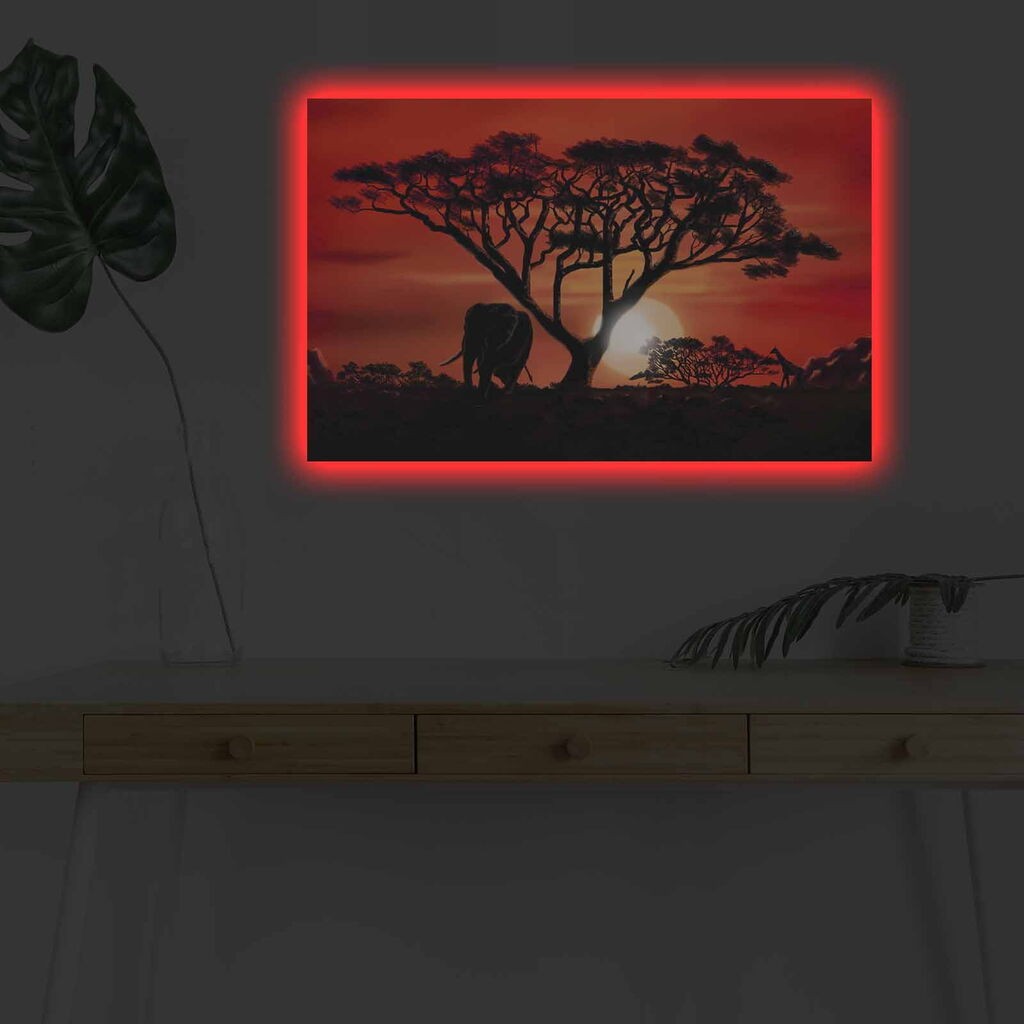 Zidna slika sa LED osvjetljenjem 4570DHDACT-053, 45x70 cm