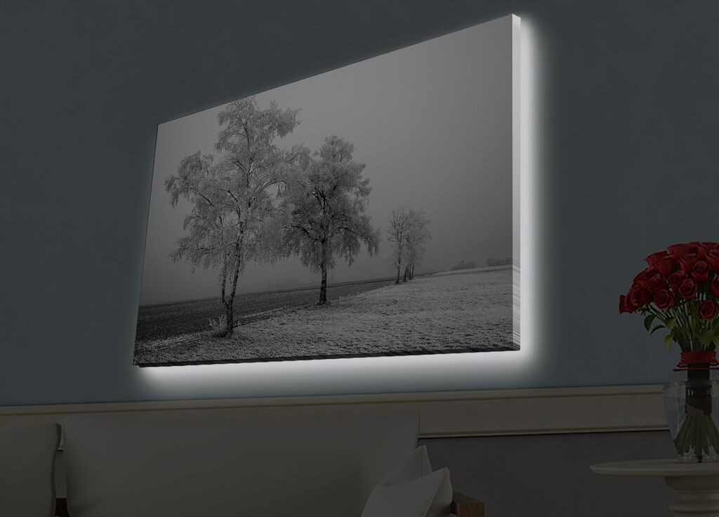 Zidna slika sa LED osvetljenjem 4570HDACT-031, 45x70 cm