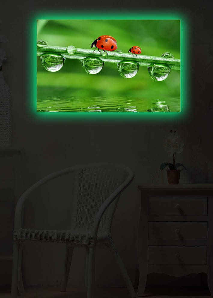 Zidna slika sa LED osvetljenjem 4570DACT-20, 45x70 cm