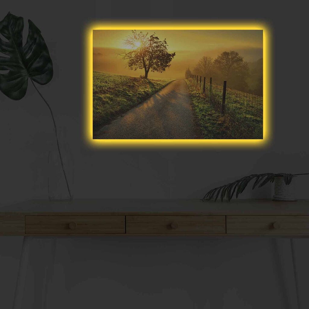 Zidna slika sa LED osvjetljenjem 4570DHDACT-005, 45x70 cm