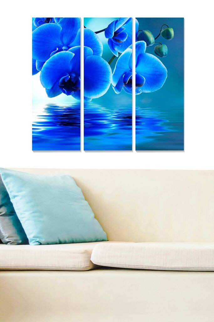 Set slika Wallity MDF2664561, 3 dijela