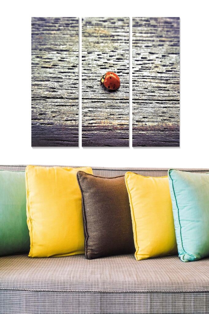 Set slika Wallity MDF3812889, 3 dijela