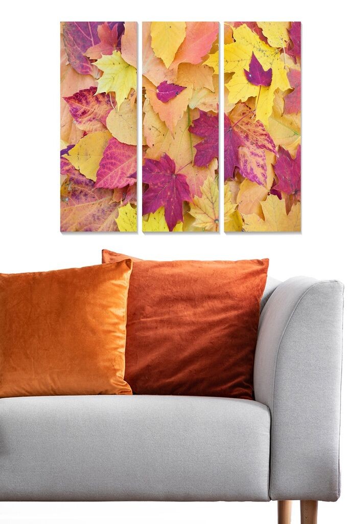 Set slika Wallity MDF1789665, 3 dijela