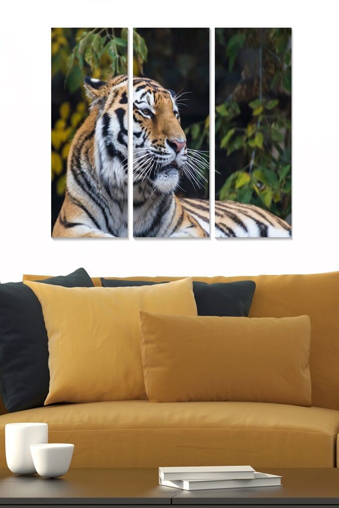 Set slika Wallity MDF143872247, 3 dijela