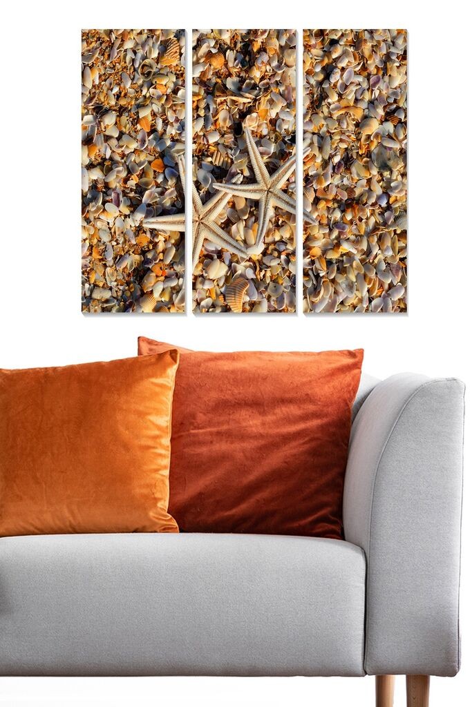 Set slika Wallity MDF1572797, 3 dijela