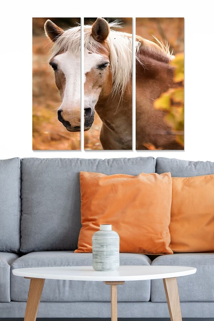 Wallity Set slika MDF3204312, 3 dijela