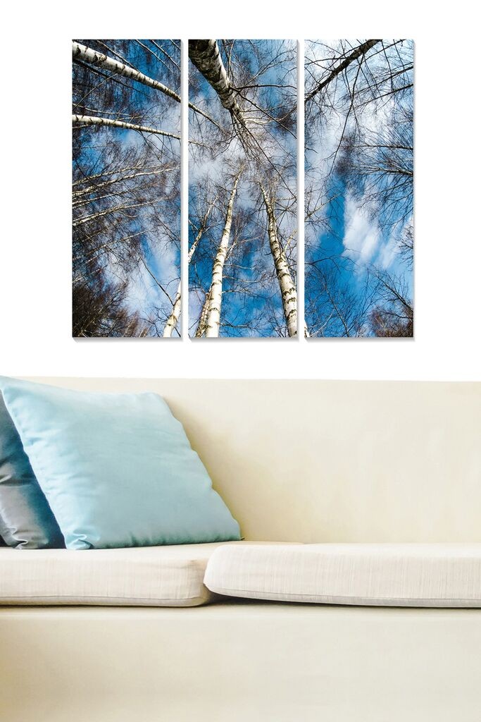 Wallity set slika MDF260838, 3 dijela