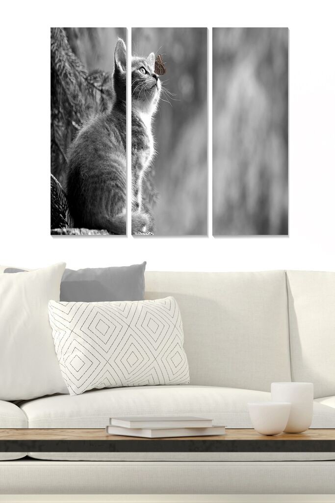 Set slika Wallity MDF2810383, 3 dijela