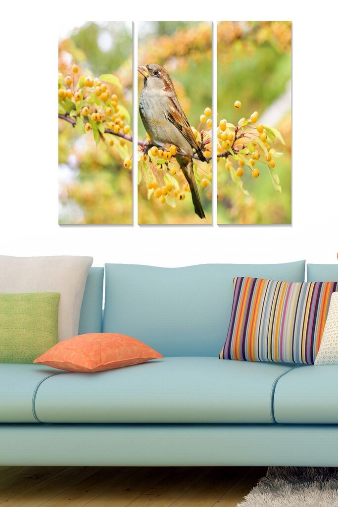 Set slika Wallity MDF2847799, 3 dijela