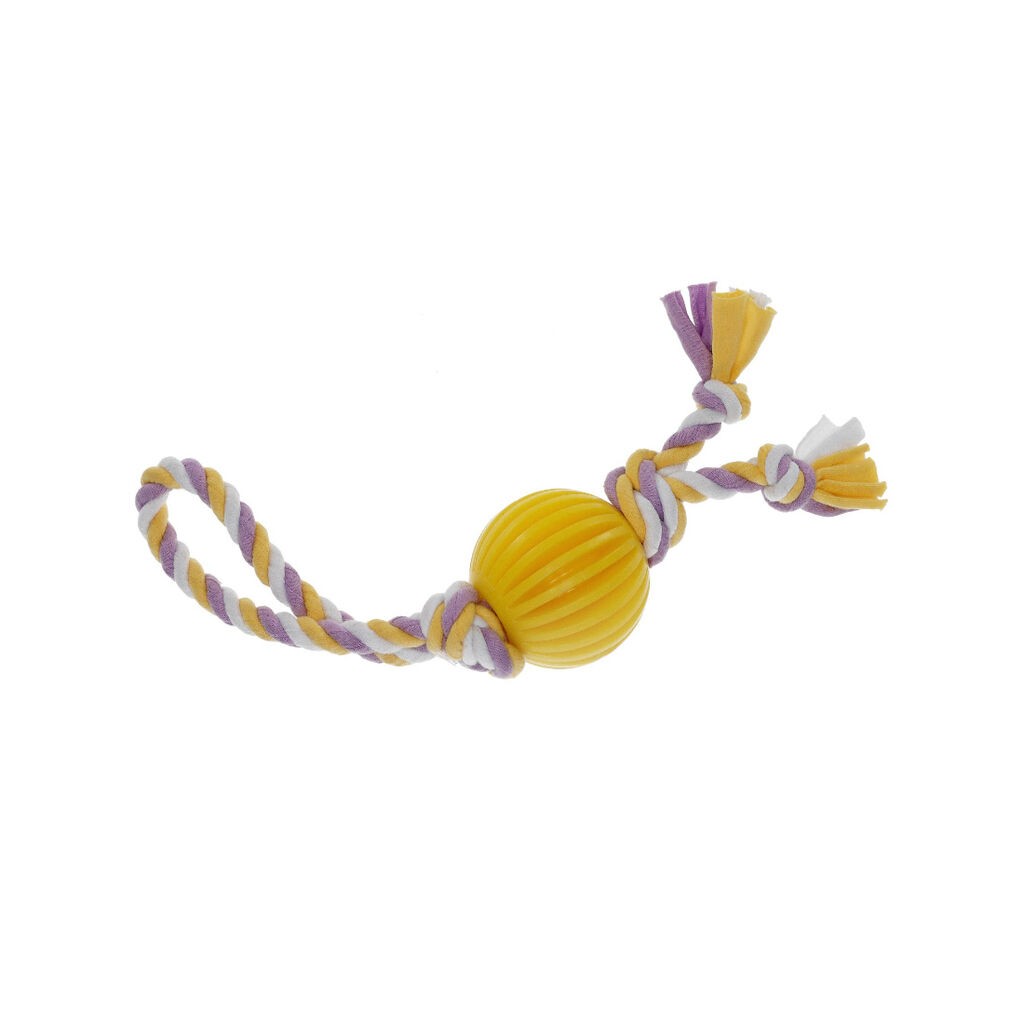 Misoko Latex lopta sa užetom za pse, 30 cm, Šarena