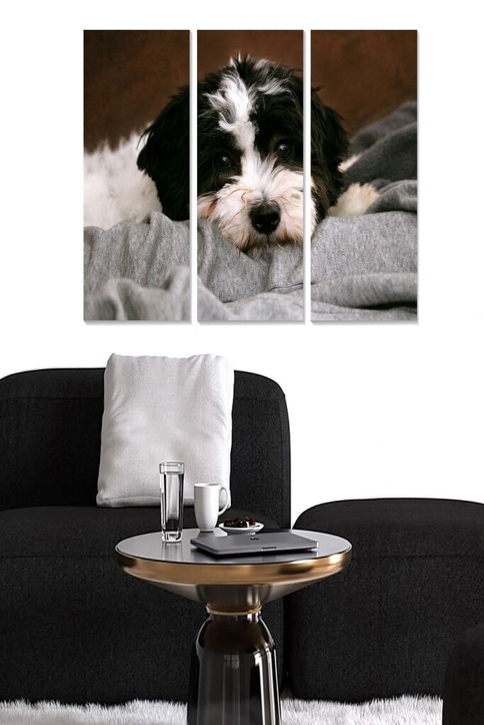 Set slika Wallity MDF3790078, 3 dijela