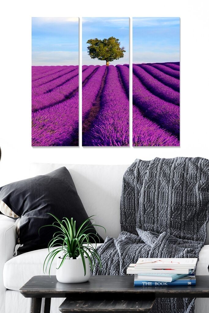 Set slika Wallity MDF24592723, 3 dijela