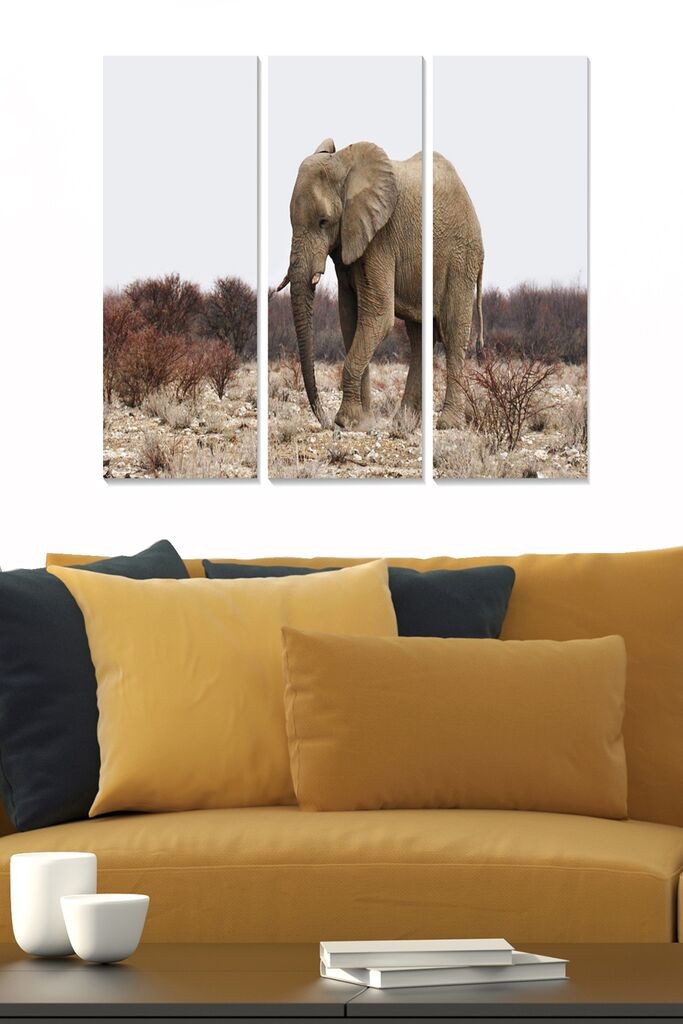 Set slika Wallity MDF1170103, 3 dijela