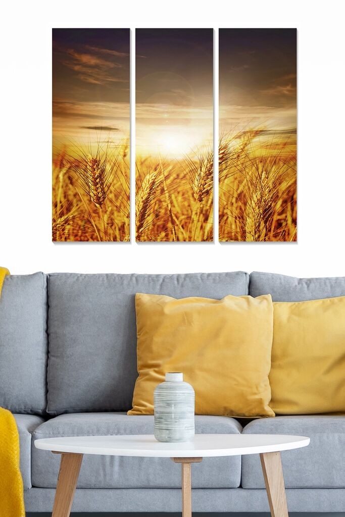 Set slika Wallity MDF56154880, 3 dijela