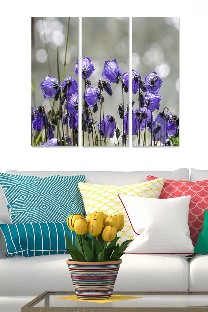 Wallity Set slika MDF3573012, 3 dijela