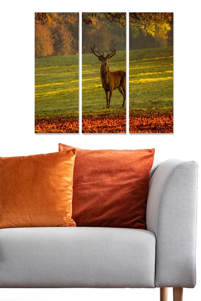 Set slika Wallity MDF1764608, 3 dijela