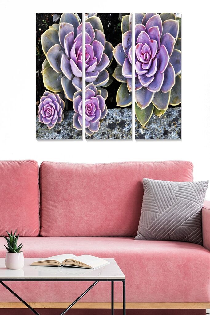 Set slika Wallity MDF3745450, 3 dijela